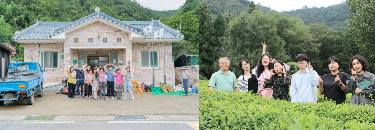 보성사진2.png
